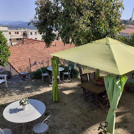 Les Palmiers Bed & Breakfast Grasse Ngoại thất bức ảnh