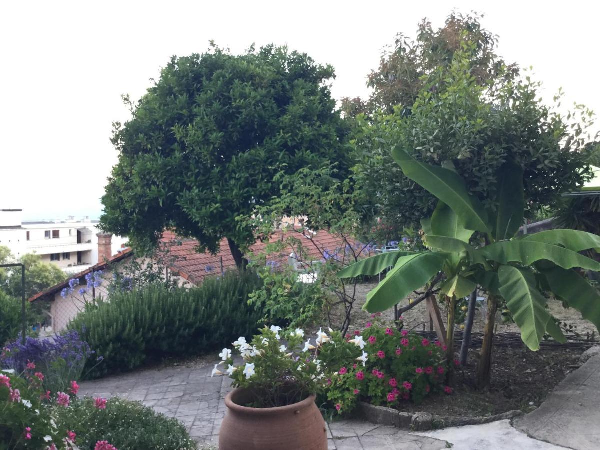 Les Palmiers Bed & Breakfast Grasse Ngoại thất bức ảnh